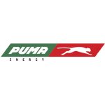 puma-energy_BPO Innovations