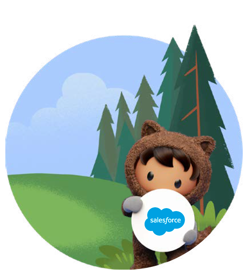 salesforce-partner-guatemala